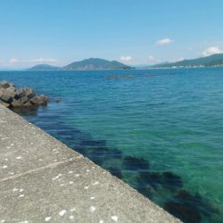 アコウ　アイナメ　釣りと趣味のKちゃんねる